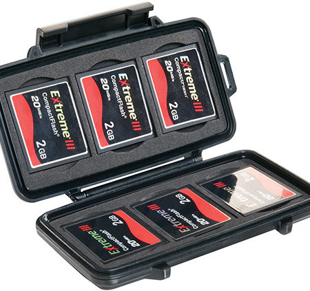 0945  Memory Card Case